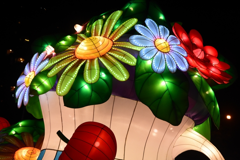 WONDERLAND A magical city of lights
